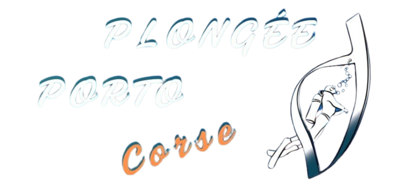Plongée Porto